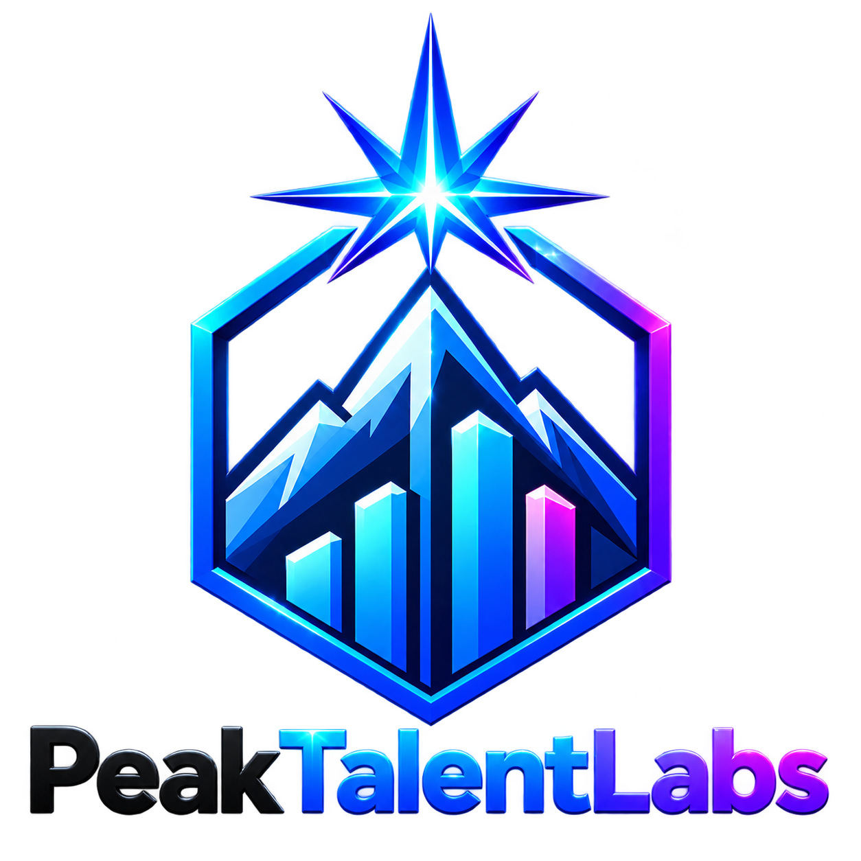 PeakTalentLabs Logo